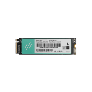 Z100V NVMe SSD – Speed Meets Storage